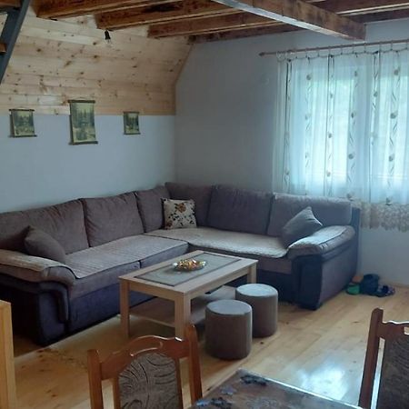 Vila Daniela Zaovine Εξωτερικό φωτογραφία