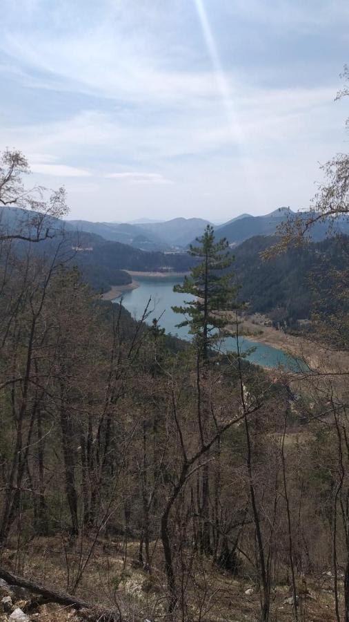 Vila Daniela Zaovine Εξωτερικό φωτογραφία