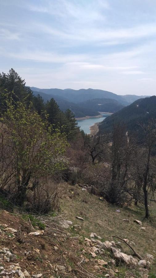 Vila Daniela Zaovine Εξωτερικό φωτογραφία