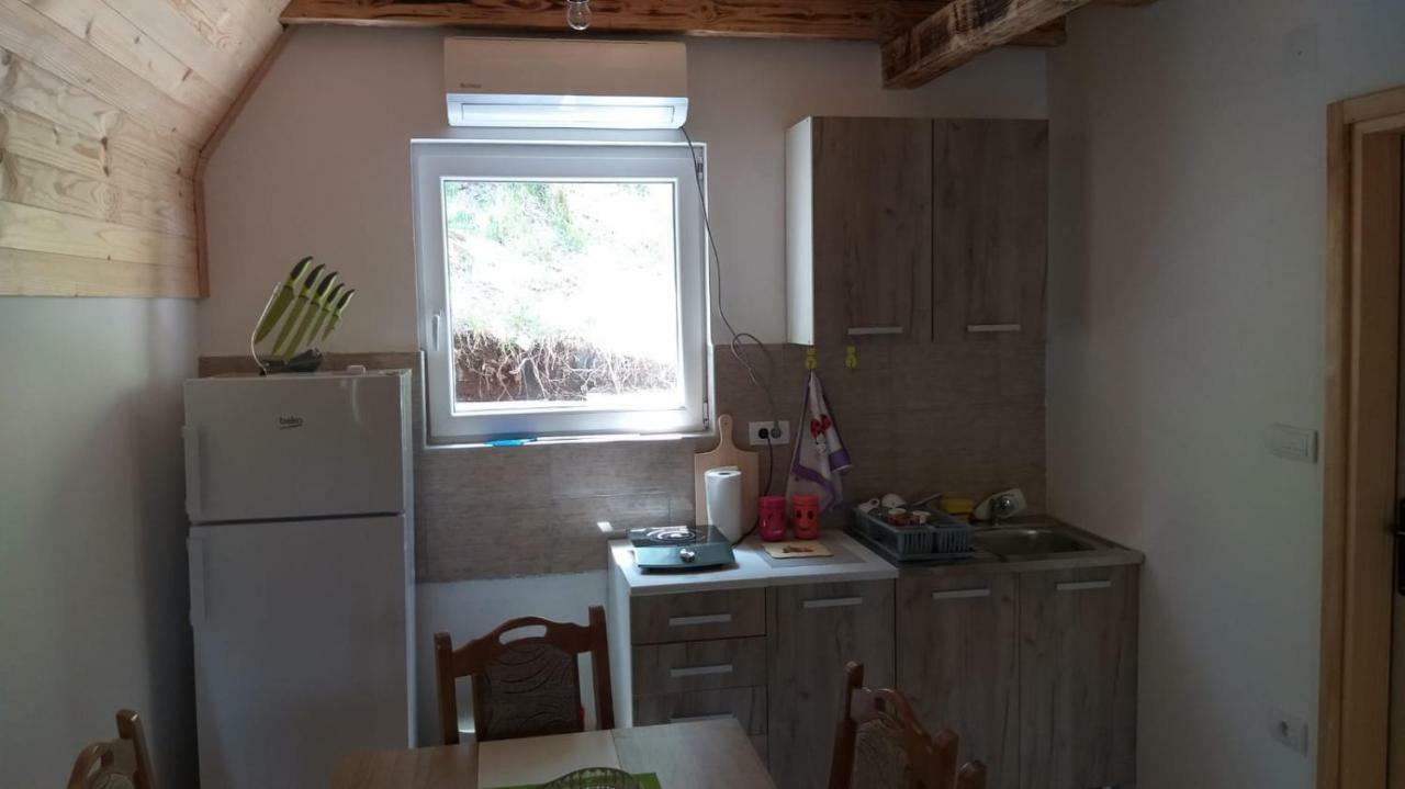 Vila Daniela Zaovine Εξωτερικό φωτογραφία
