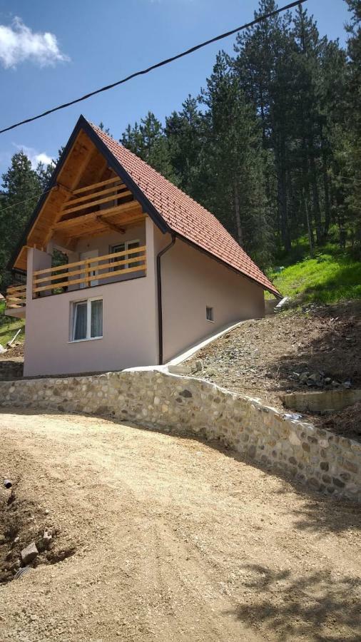 Vila Daniela Zaovine Εξωτερικό φωτογραφία